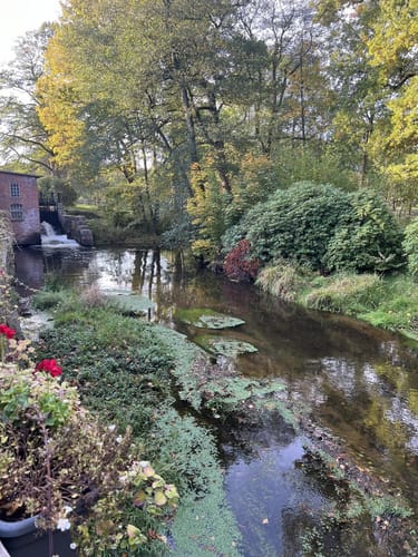 Egestorf - Voßmoor - Wilsede