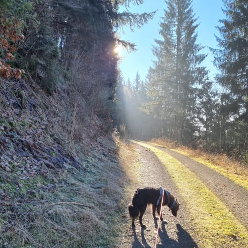 Leitschgrund-Weg RT 22
