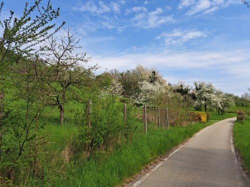 Überlinger See