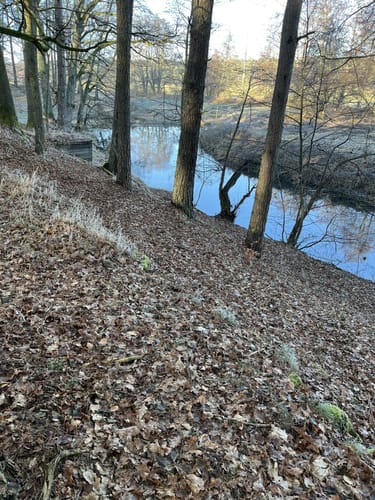 An der Schnellen Havel