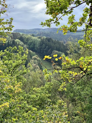 Floßmühle, Fuchsturm & Schwarzmühle