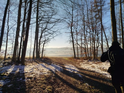Niesetalweg