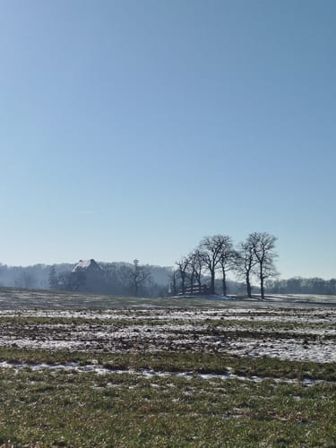 Niesetalweg