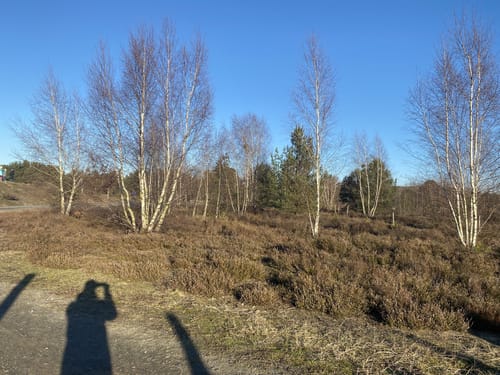 Schönower Heide: Wildwanderweg