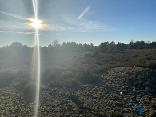 Schönower Heide: Wildwanderweg