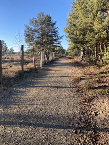 Schönower Heide: Wildwanderweg