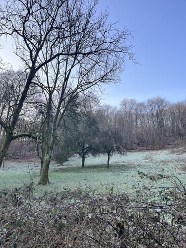 Rundwanderweg Heppenheim Wolfslücke 3: Kreuzberg-Weg