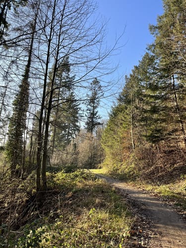 Rundwanderweg Heppenheim Wolfslücke 3: Kreuzberg-Weg