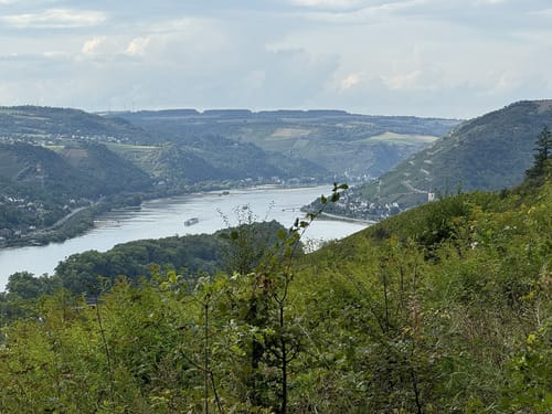 Rheinsteig Etappe 17: Lorch - Rüdesheim