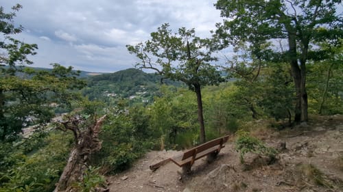 LahnWeinStieg
