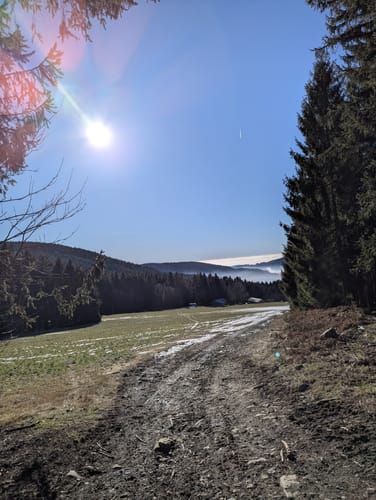 Klinglbach, Käsplatte, Münchshöfen und Prellerhaus Rundweg