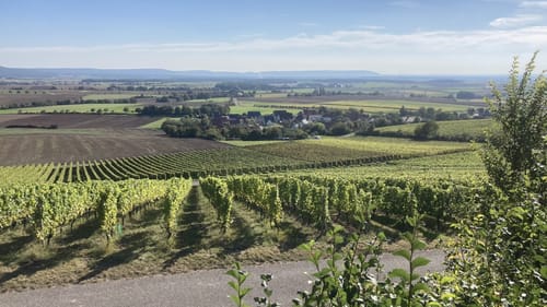 Rundweg Michelau M1