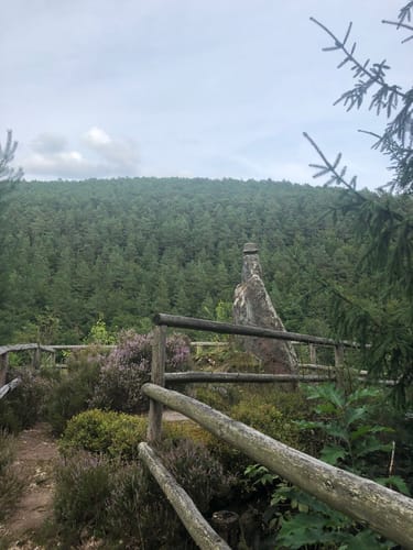 Ehrenfels ab Elmstein