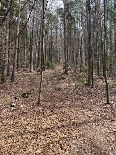 Weigendorf und Burg Lichtegg Wanderung