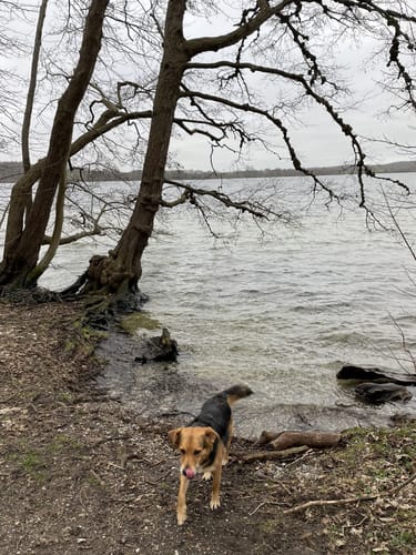 Suhrer See Rundweg