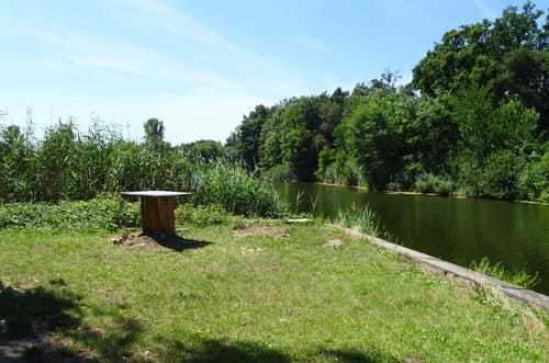 Lampertheimer Wald zwischen Lorsch und Lampertheim