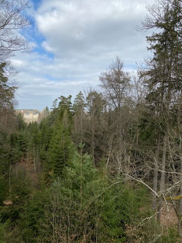 Donndorf - Schlosspark Fantaisie Runde