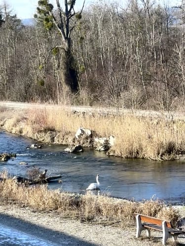 Ering Tour 18 - Wandern in Naturschutzgebiet Unterer Inn