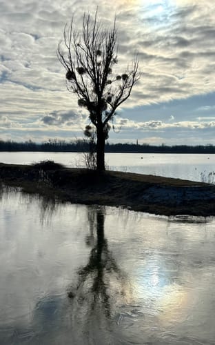 Ering Tour 18 - Wandern in Naturschutzgebiet Unterer Inn