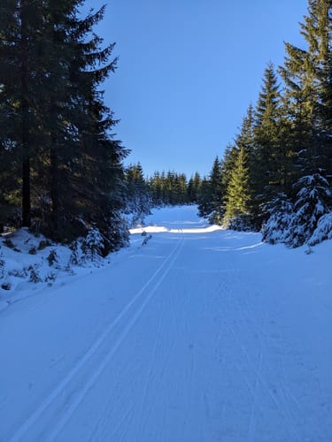 Carlsfelder Talsperren-Rundweg