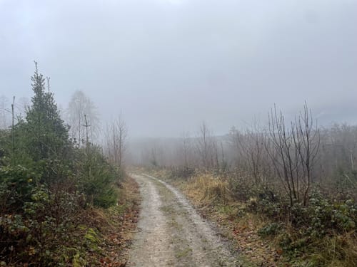 Hünenburg-Weg