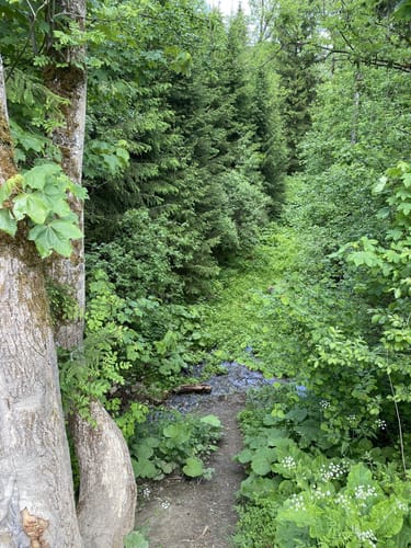 Rundwanderweg A1 - Schierenberg und Humberg