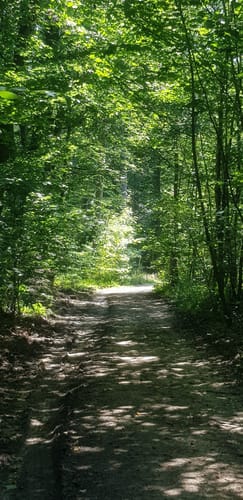 Rund um den Rettershof (Weg 8)