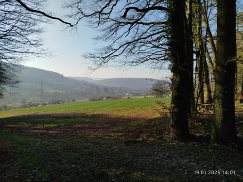 Bad König: Drei-Mühlen-Weg