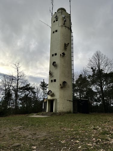 Dörrenbach - Stäffelsberg - Bad Bergzabern