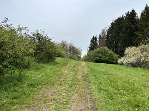 Hirzenhainer Höhenflug (Extratour)