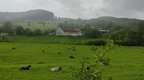 Von Reichelsheim zum Hofgut Rodenstein