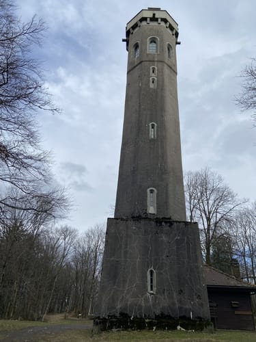Donnersberg Rundweg