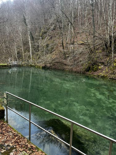 Seeburgsteig (Premiumwanderweg)