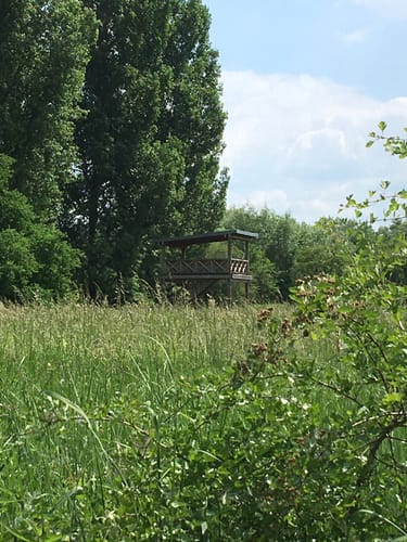 Von Frei-Weinheim entlang des Rheins bis Heidenfahrt