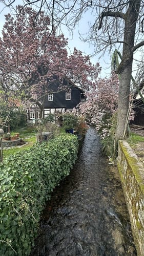 Rundwanderweg Lindenfels 6: Erlebniswanderweg Lindenfels
