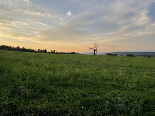 Steinbachpfad (Premiumwanderweg)