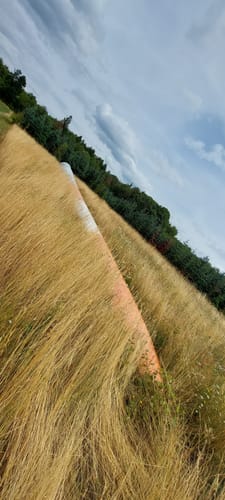 Wind, Wasser & Wacken (Premiumwanderweg)