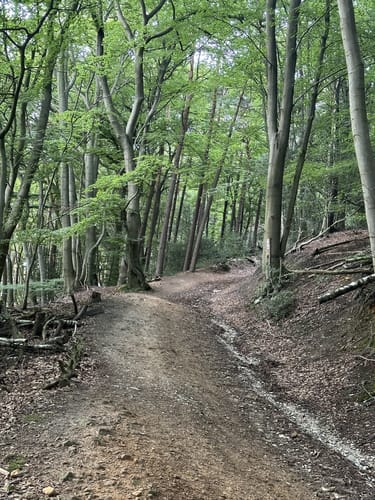 Bergweltenweg