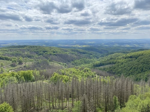 Aus Paradies zum Großen Knollen