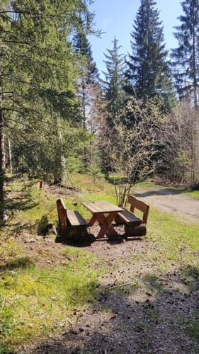 Luchsbrunnen Rundweg