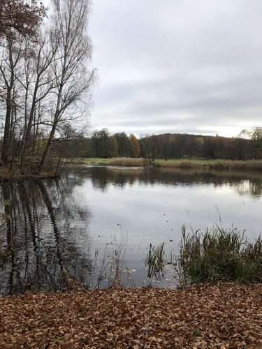 Muldental-Wanderweg Zwickauer Mulde Etappe 2: Glauchau - Waldenburg