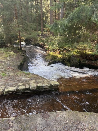 Am Kalten Feld - Greifensteine