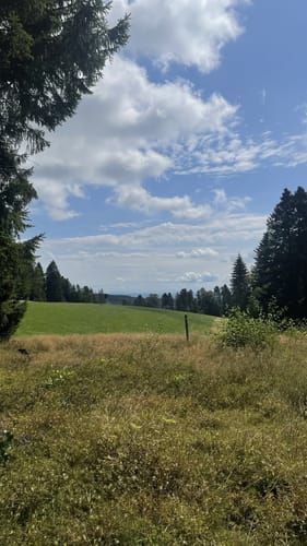Albsteig Schwarzwald Ost (Fernwanderweg)