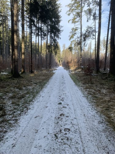 Aying und Siegertsbrunn Rundweg