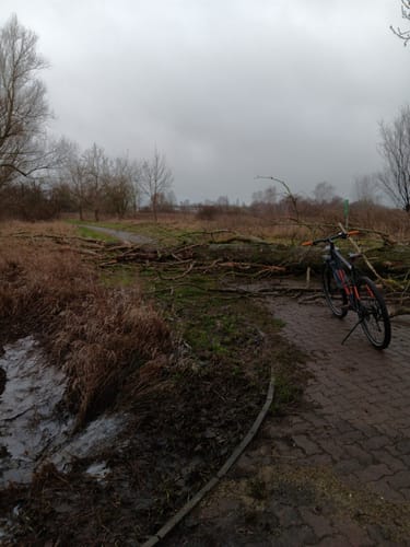 Gutenswegen - Aller-Elbe Radweg - Haldensleben