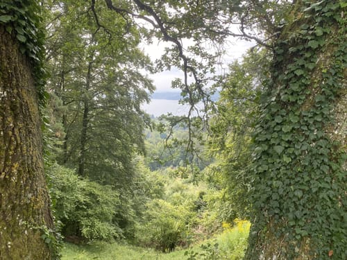 Premiumweg SeeGang Etappe 1: Überlingen - Sipplingen