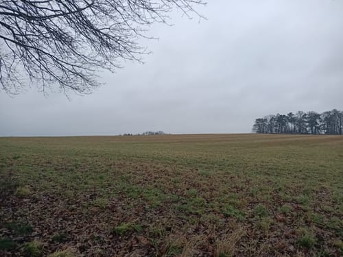 Sternberg - Warnowtal