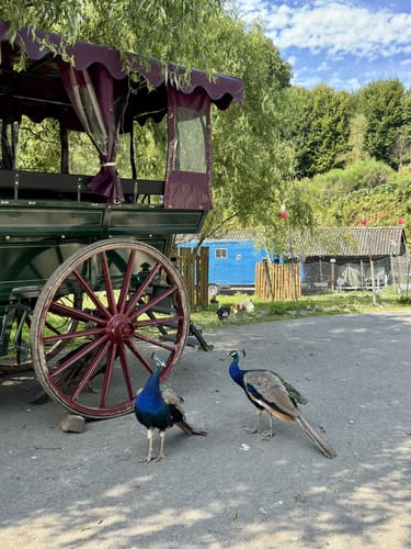 Bauernhofweg Streifzug #18