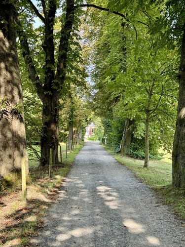 Bauernhofweg Streifzug #18
