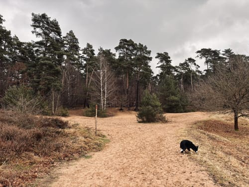 Am Heimbach durch die Wahner Heide